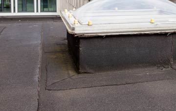 disadvantages of Southpunds flat roofs