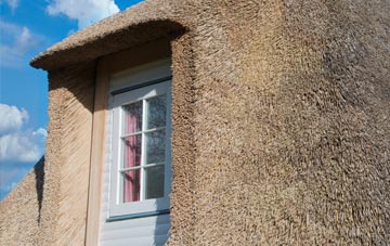 Southpunds thatch roof disadvantages